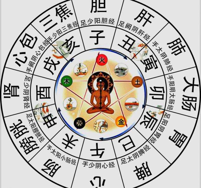 中医十二时辰养生法